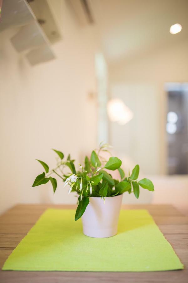 Apartment In Historic Center - Mikula, Ljubica, Toma *